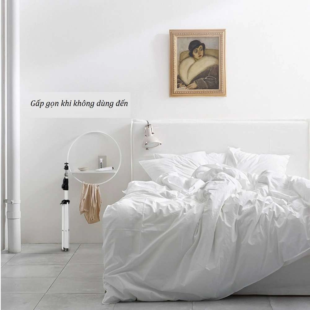 Giá đỡ máy chiếu Wanbo